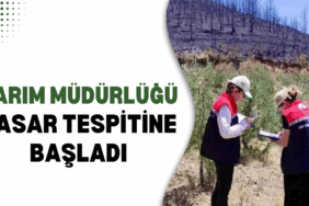 TARIM HASAR
