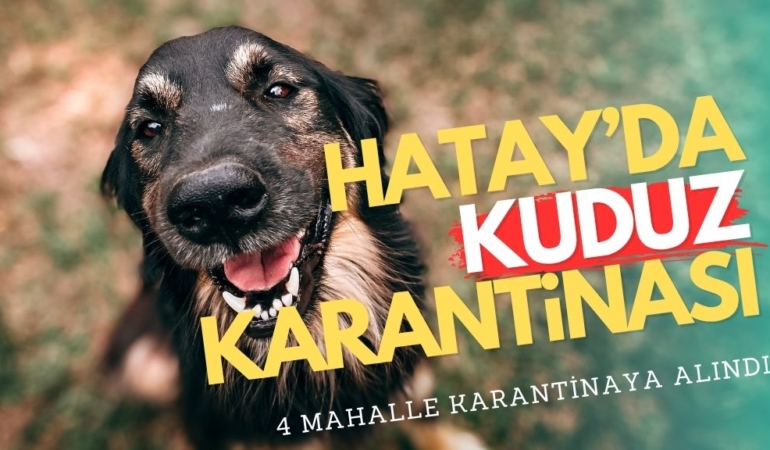 KUDUZ