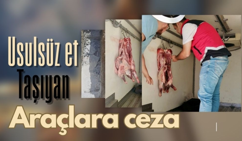 et aracı ceza