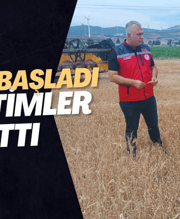 hasat denetim il tarım müdürü