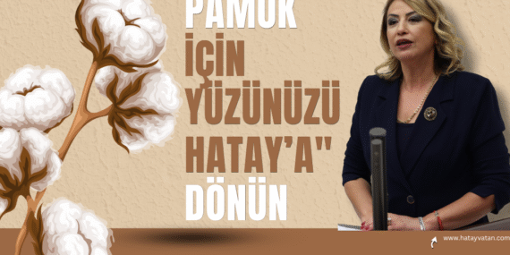 nermin yıldırım kara