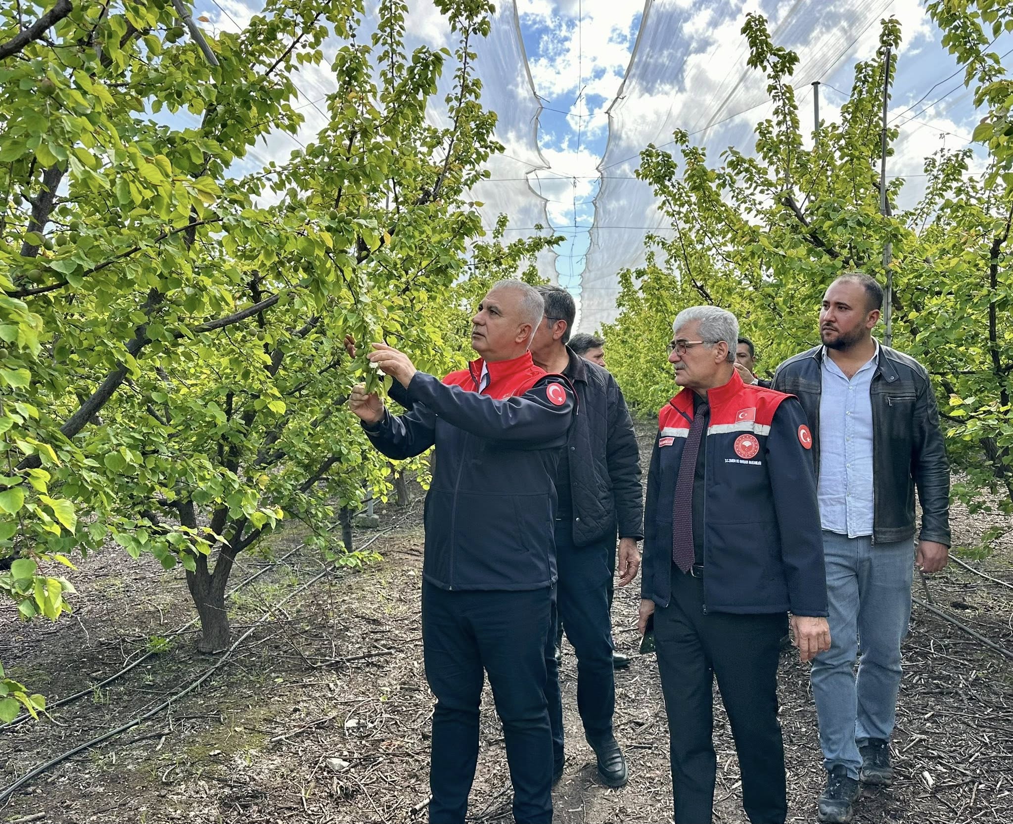 Hatay İl Tarım ve Orman Müdürü Abdurrahman Türkmen