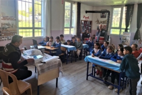 dağ ceylanı tanıtım okul