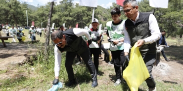 orman benim (1)