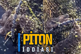 piton