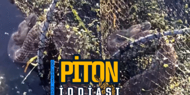 piton