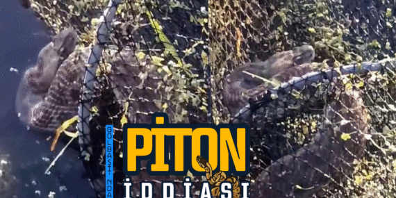 piton