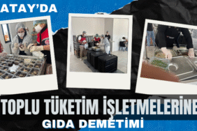 denetim