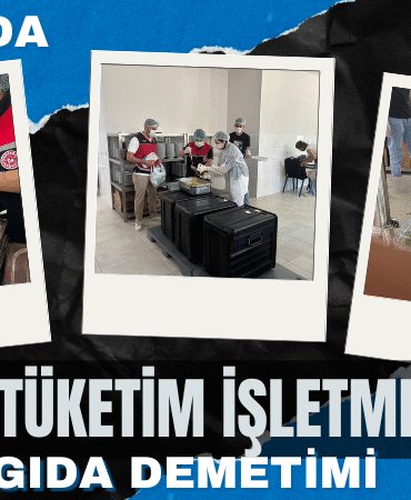 denetim