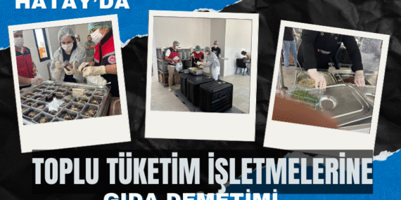 denetim