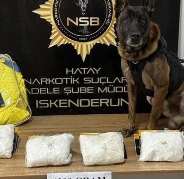 polis köpeği