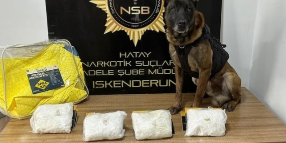 polis köpeği