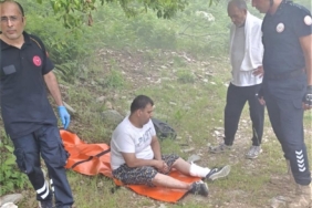 yaralı