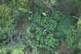 Adsız