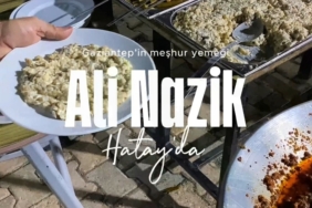 ali nazikk
