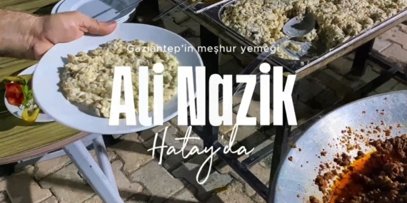 ali nazikk
