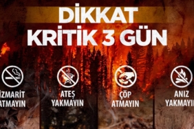yangın