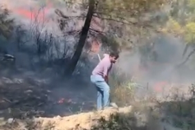 yangın
