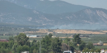 yangın