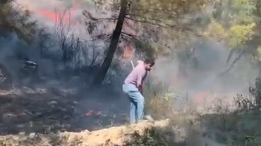 yangın