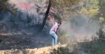 yangın