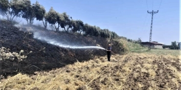 zeytinlik yangını (1)