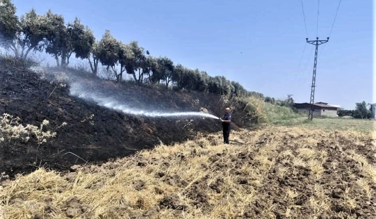 zeytinlik yangını (1)