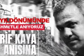 arif kaya