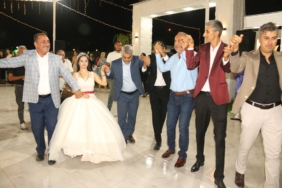 down pınar (1)